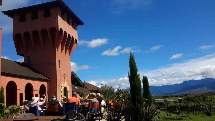 Marlborough Half-Day Wine Tour from Blenheim - Is $125 good value?