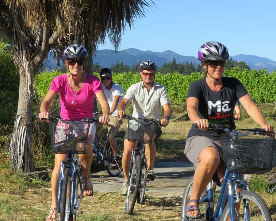 Marlborough: Half Guided and Half Self-Guided Bike Wine Tour - Why this bike tour works so well in Marlborough
