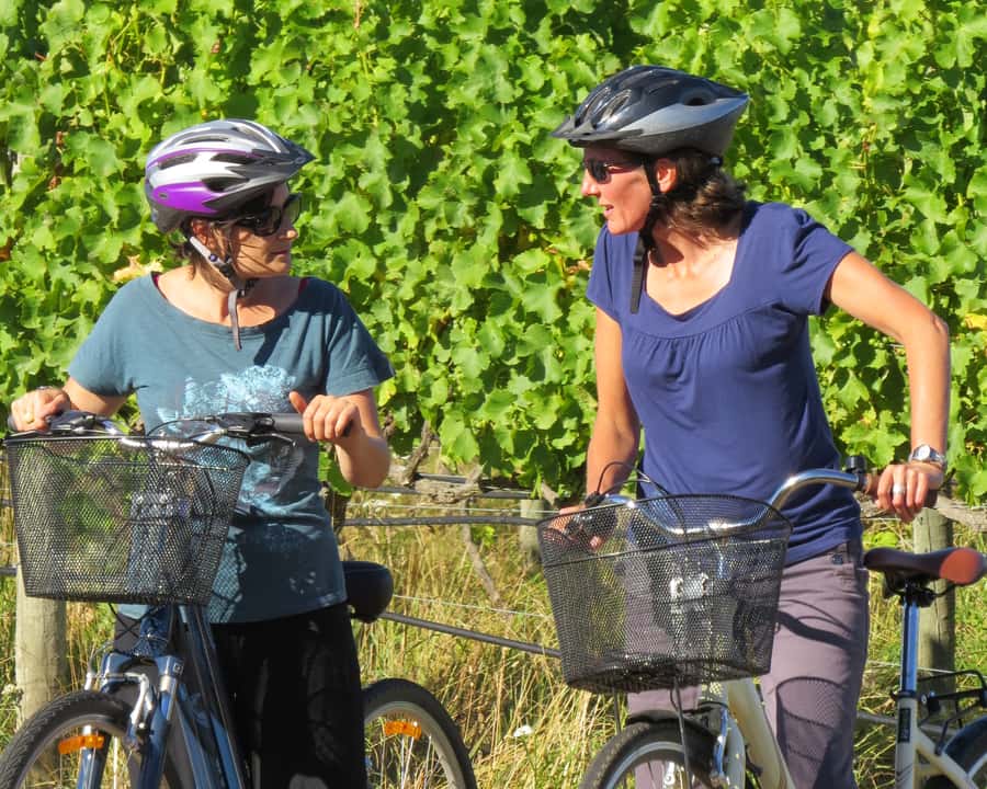 Marlborough: Half Guided and Half Self-Guided Bike Wine Tour - Three winery stops with a local guide