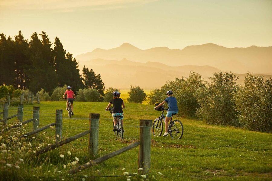 Marlborough: Half Guided and Half Self-Guided Bike Wine Tour - The afternoon: your map, your route, your budget
