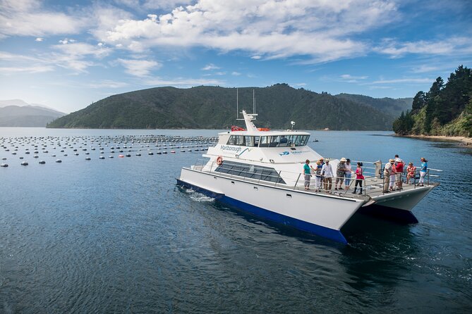 Marlborough Icons Tour - Wine tasting + Cruise - Lunch before the boat