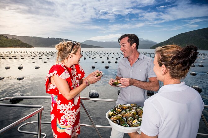 Marlborough Icons Tour - Wine tasting + Cruise - Guides make the difference