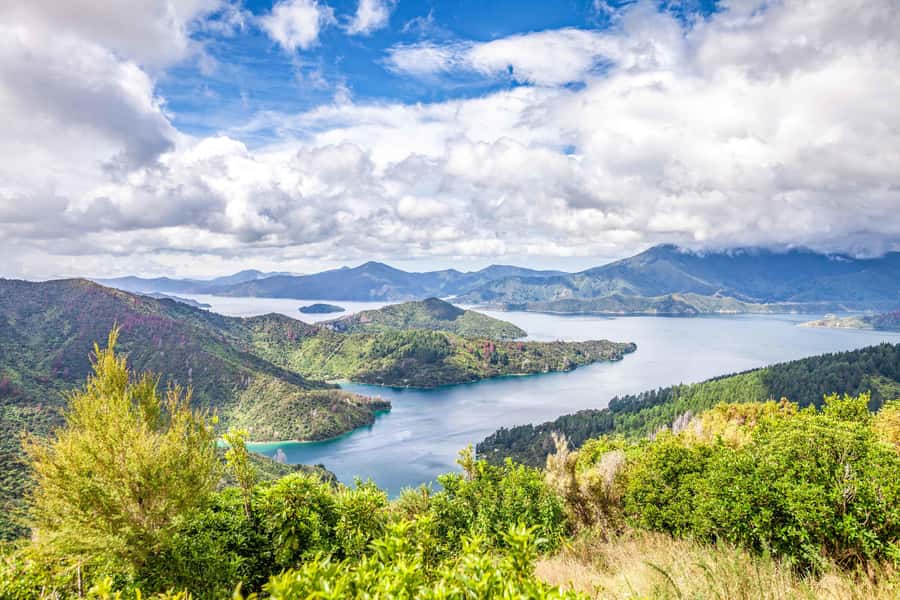 Marlborough Sounds and Ship Cove Cruise from Picton - Key points to know before booking