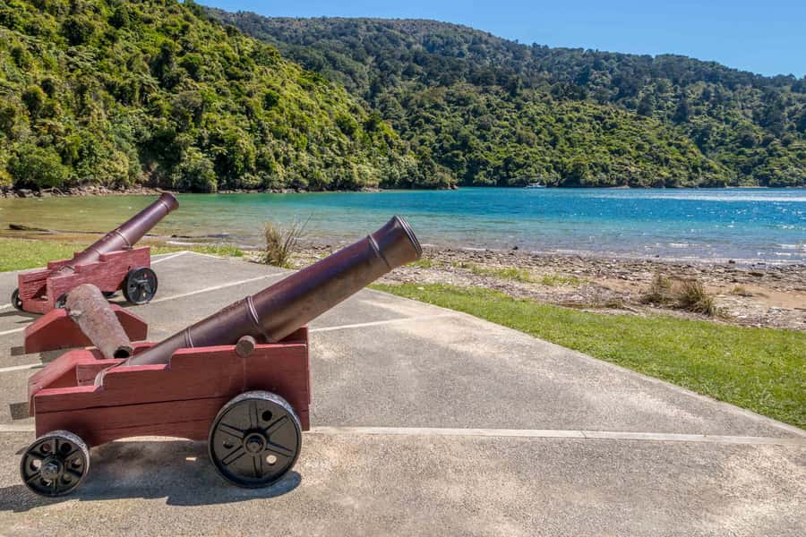 Marlborough Sounds and Ship Cove Cruise from Picton - Endeavour Inlet and the working side of the Sounds