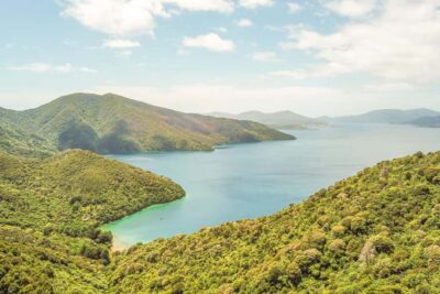 Marlborough Sounds and Ship Cove Cruise from Picton