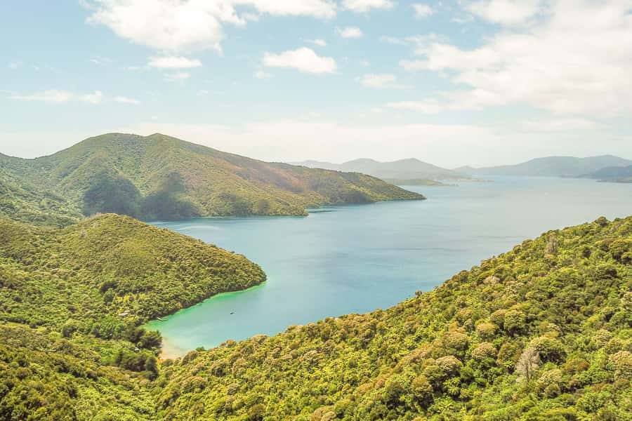 Marlborough Sounds and Ship Cove Cruise from Picton - Ship Cove and Captain Cook’s 1770s anchorage