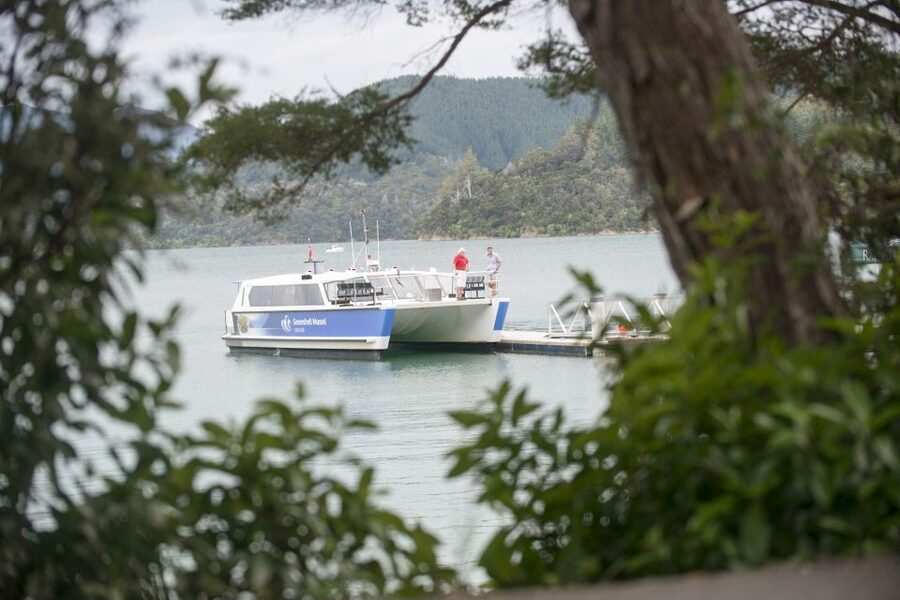 Marlborough Sounds: Greenshell Mussel Cruise - Who will enjoy this cruise most?