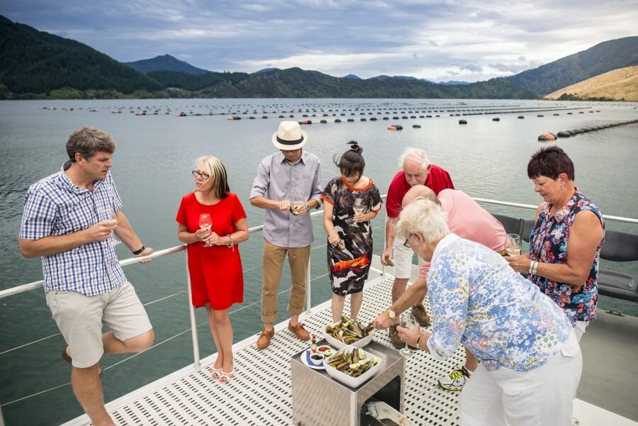 Marlborough Sounds: Greenshell Mussel Cruise - Salmon, tea, and the onboard bar