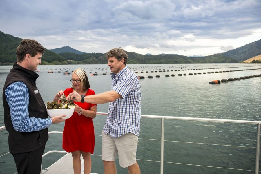 Marlborough Sounds: Greenshell Mussel Cruise - Commentary about farming and local history
