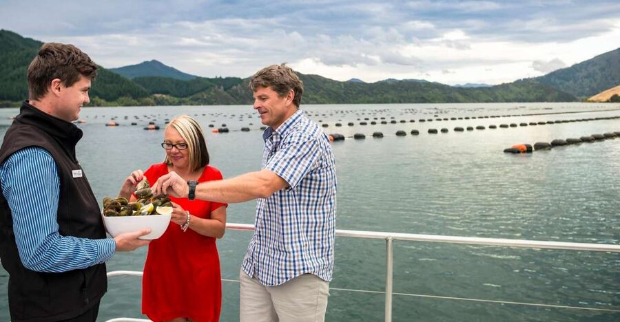 Marlborough Sounds: Greenshell Mussel Cruise - A three-hour rhythm that feels manageable