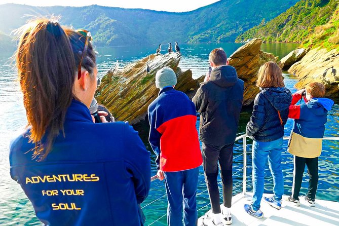 Marlborough Wine Tour - Picton Cruise Ship Shore Excursion Tour - Who should book this Picton wine tour?