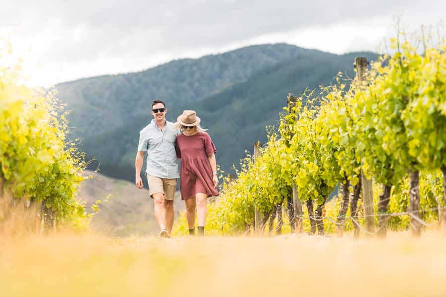 Marlborough: Wineries Visit and Tasting Session - Why this half-day tour works well