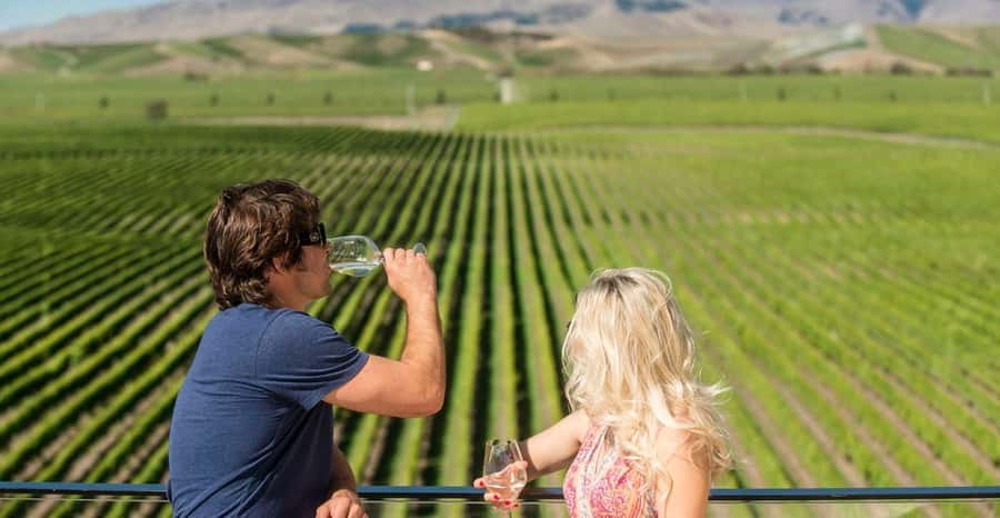 Marlborough: Wineries Visit and Tasting Session - What you can expect in the glass