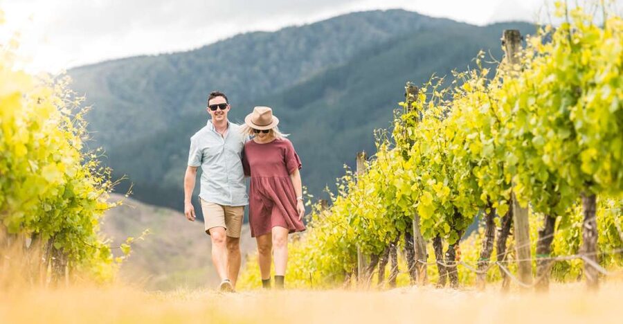 Marlborough: Wineries Visit and Tasting Session - Is $104 good value?