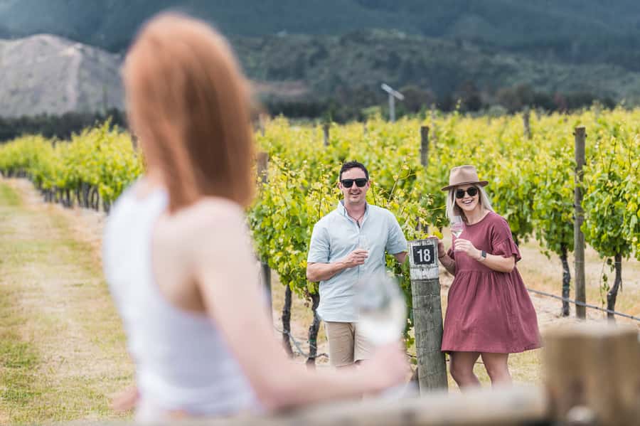 Marlborough: Wineries Visit with Tastings and 2-Course Lunch - Key points to know before booking
