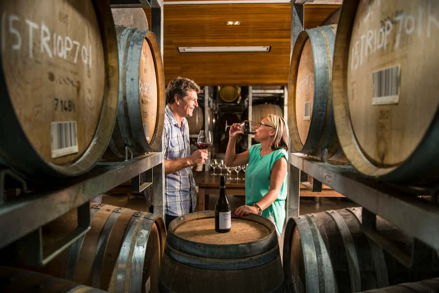 Marlborough: Wineries Visit with Tastings and 2-Course Lunch - Why Marlborough works so well for a wine day
