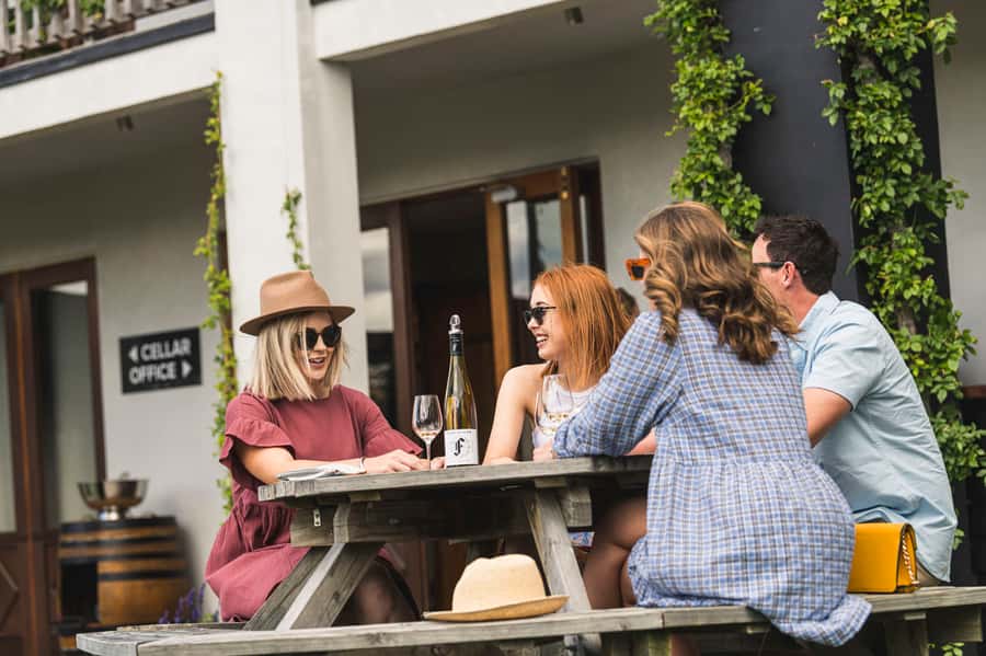 Marlborough: Wineries Visit with Tastings and 2-Course Lunch - Four winery visits, with room for variety