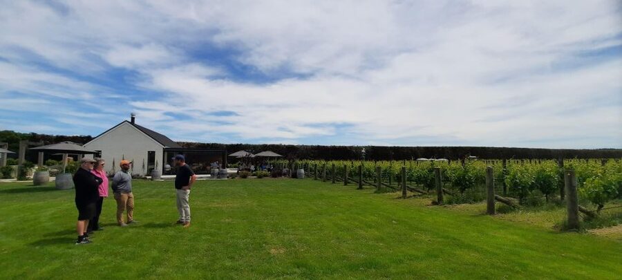 Martinborough Wine and Food Tour with Lunch from Wellington - Transport, timing, and the $200 value
