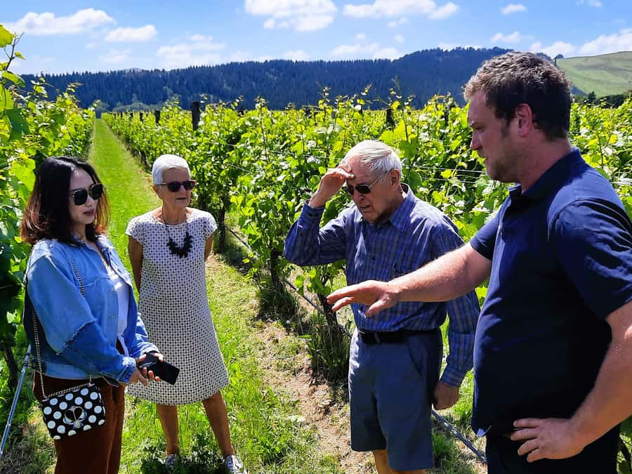 Martinborough Wine and Food Tour with Lunch from Wellington - Featherston cheese before the wine begins