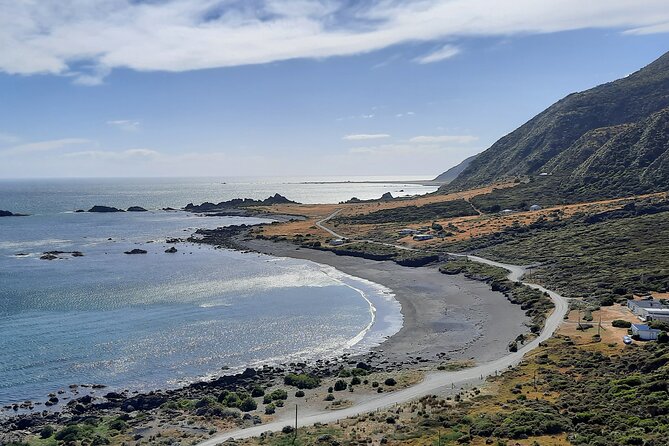 Martinborough Wine and Wild Coast Tour from Wellington - Greytown’s cheese and chocolate stops