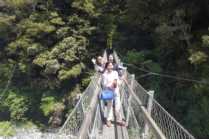 Martinborough Wine and Wild Coast Tour from Wellington - Crossing the Remutaka Ranges