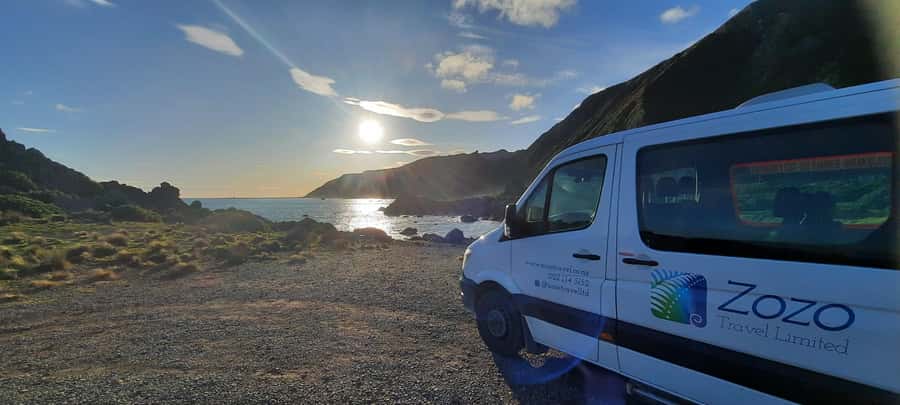 Martinborough Winery and South Wairarapa Wild Coast Tour - Why this tour works as a full-day outing
