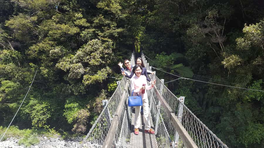 Martinborough Winery and South Wairarapa Wild Coast Tour - Crossing the Remutaka Ranges to Featherston
