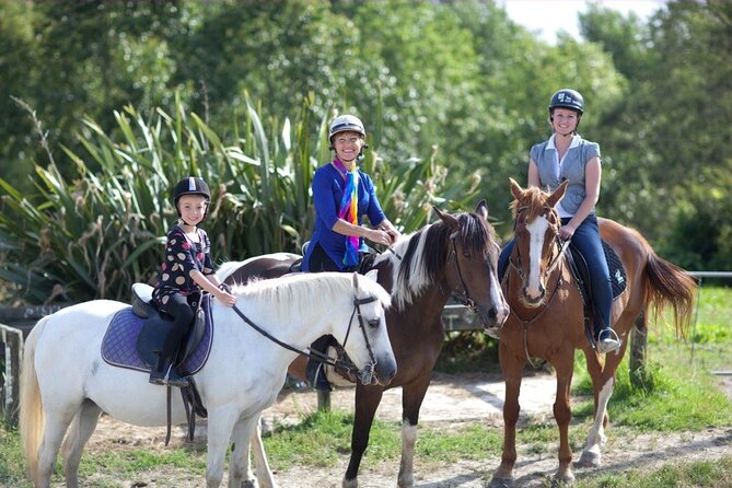 Matakana Art & Horse Riding Experience Private Tour From Auckland - Four things to know before booking
