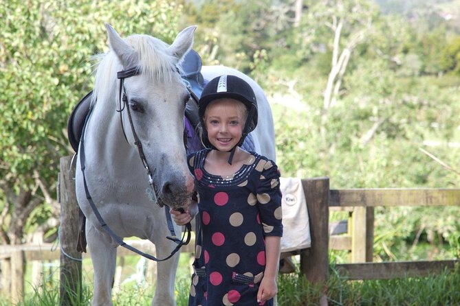 Matakana Art & Horse Riding Experience Private Tour From Auckland - Leaving Auckland for the Matakana country