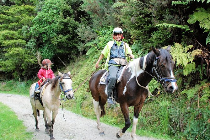 Matakana Art & Horse Riding Experience Private Tour From Auckland - Chocolate Brown brings a sweet pause