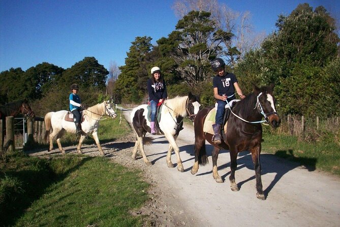 Matakana Art & Horse Riding Experience Private Tour From Auckland - Lunch, wine, and a taste of Matakana