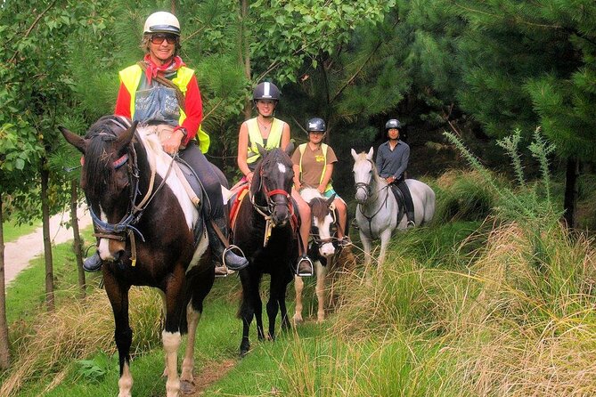 Matakana Art & Horse Riding Experience Private Tour From Auckland - Is $588.92 per person good value?