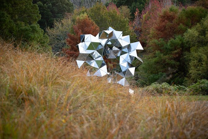 Matakana Art & Vineyard Experience incl. Lunch & Wine Tasting Tour From Auckland - Chocolate Brown starts the day sweetly