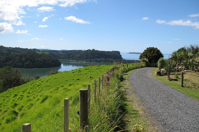 Matakana Scenic Coastal Getaway from Auckland - The quick take