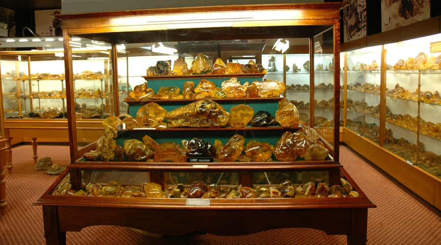 Matakohe: The Kauri Museum Entry Ticket - How long should you spend inside?