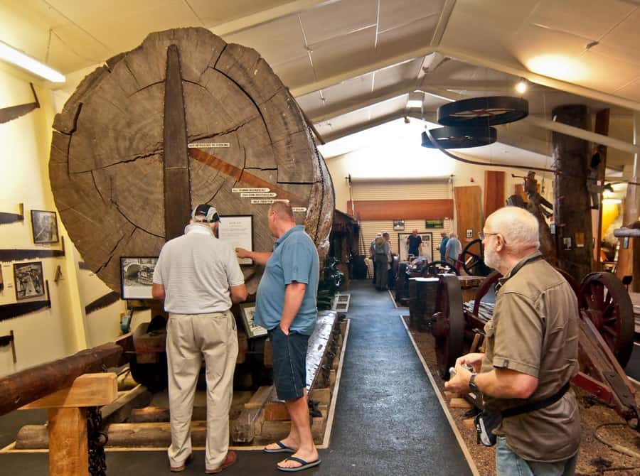 Matakohe: The Kauri Museum Entry Ticket - Is the $14 ticket good value?