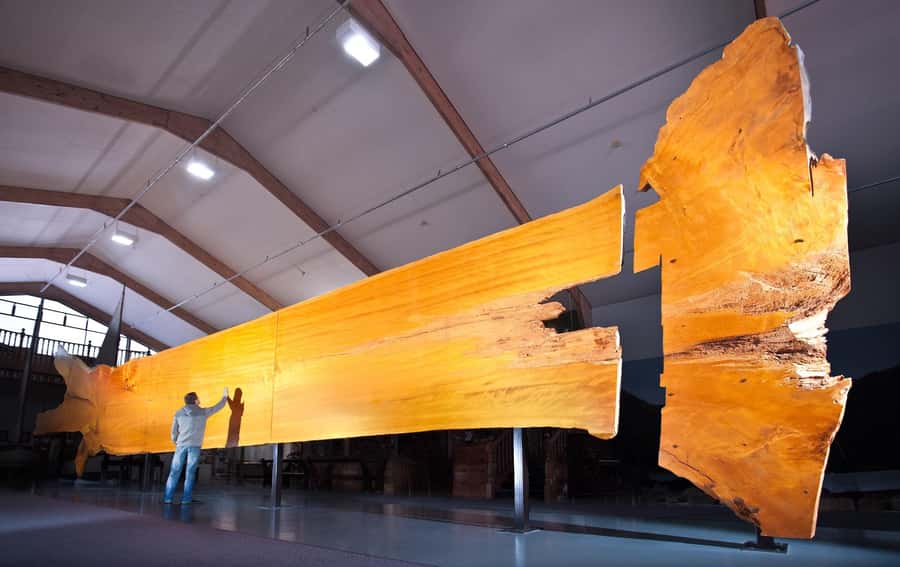 Matakohe: The Kauri Museum Entry Ticket - Practical details for a smooth visit