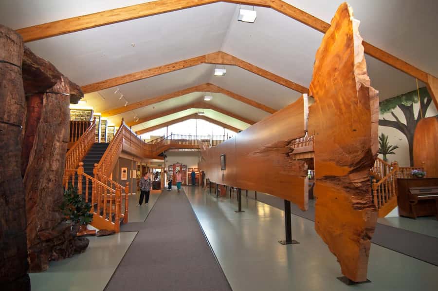 Matakohe: The Kauri Museum Entry Ticket - Should you book the Kauri Museum entry ticket?