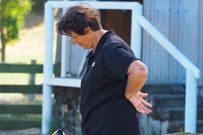 Merino Farm Experience - A real farm visit near Hurunui