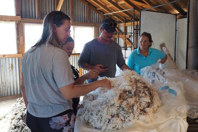Merino Farm Experience - Working dogs and the quiet garden walk