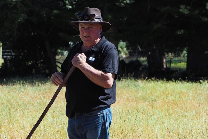 Merino Farm Experience - Why the small group size matters