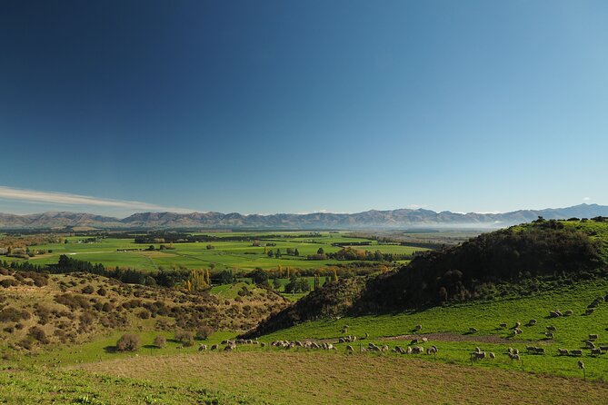 Merino Farm Experience - Is $58.95 a fair price?