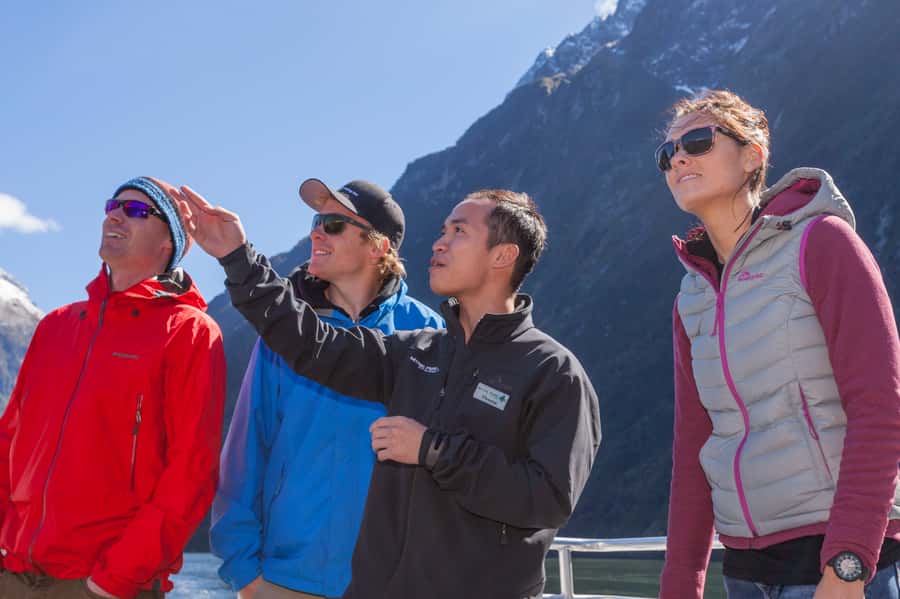 Milford Sound: 2-Hour Small Boat Scenic Cruise - Getting to the terminal and choosing your departure
