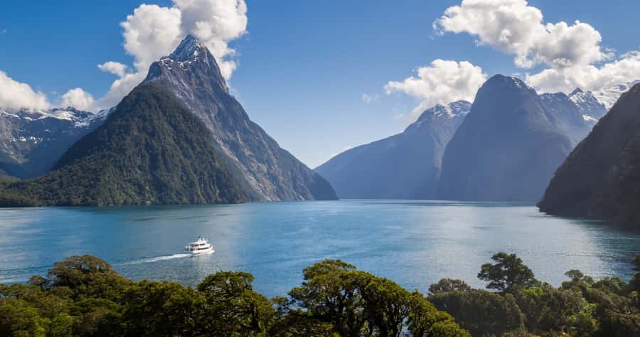 Milford Sound: Boutique Small-Boat Cruise - Is $101 Good Value?