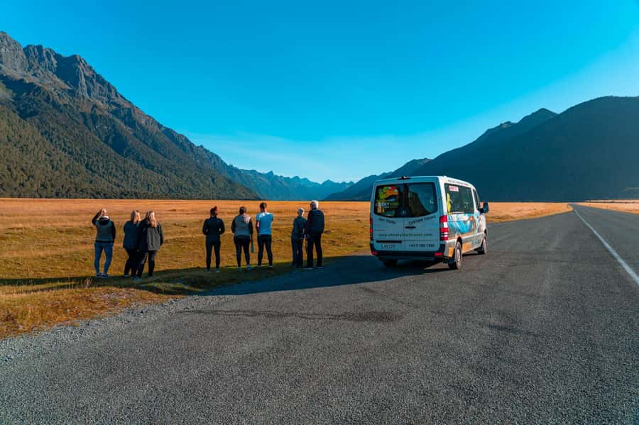 Milford Sound: Boutique Small-Boat Cruise - The Best Weather Strategy for This Cruise