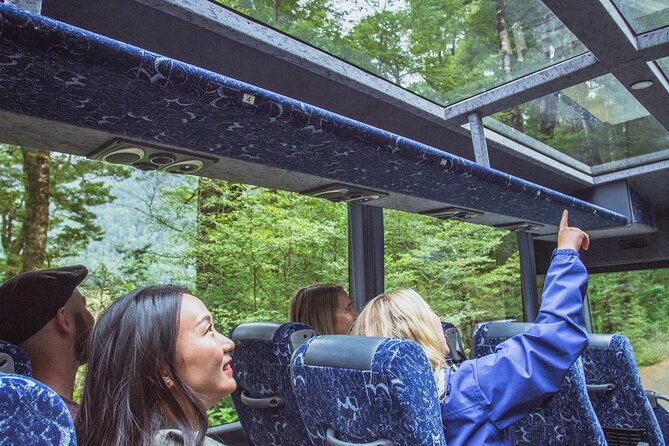 Milford Sound Coach and Cruise tour from Queenstown - Key points to know before booking