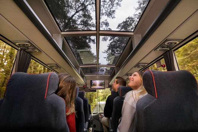 Milford Sound Coach & Cruise from Queenstown: Panoramic Views - Boarding the Milford Sound nature cruise