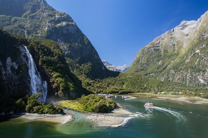 Milford Sound Cruise: Stunning Views & Optional Picnic or Buffet - Seal Point and the search for wildlife