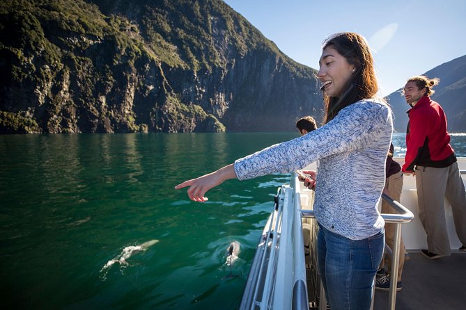 Milford Sound Cruise: Stunning Views & Optional Picnic or Buffet - Why rainy weather can be your best booking day
