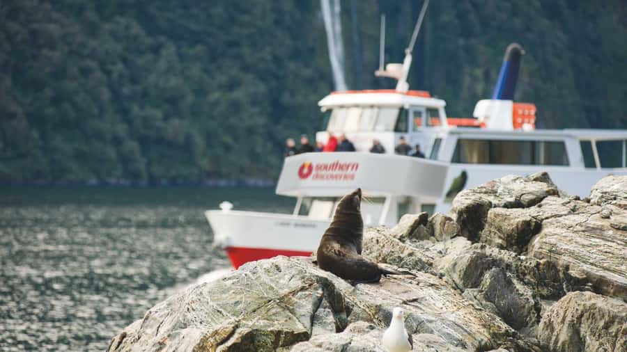 Milford Sound: Discover More on Our Longest Cruise - Waterfalls, spray, and Stirling Falls